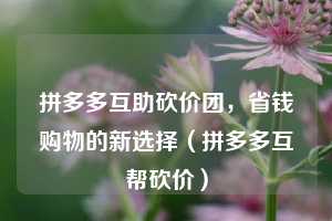 拼多多互助砍价团，省钱购物的新选择（拼多多互帮砍价）  第1张