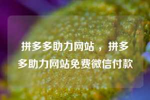 拼多多助力网站 ，拼多多助力网站免费微信付款  第1张