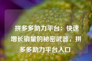  拼多多助力平台：快速增长销量的秘密武器，拼多多助力平台入口 第1张