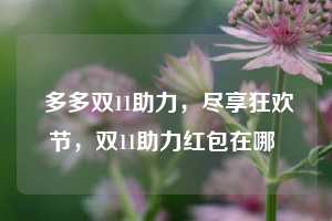  多多双11助力，尽享狂欢节，双11助力红包在哪 第1张