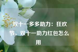  双十一多多助力：狂欢节，双十一助力红包怎么用 第1张